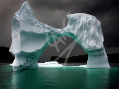 Leading Tickles Iceberg